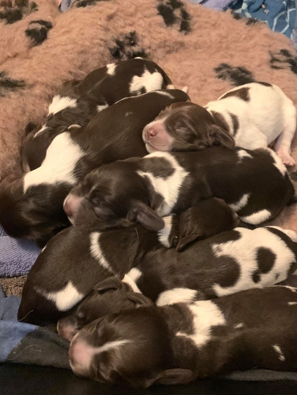 92467609_210500147035754_4319571883738529792_n