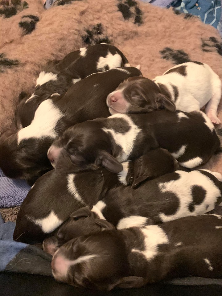 92467609_210500147035754_4319571883738529792_n