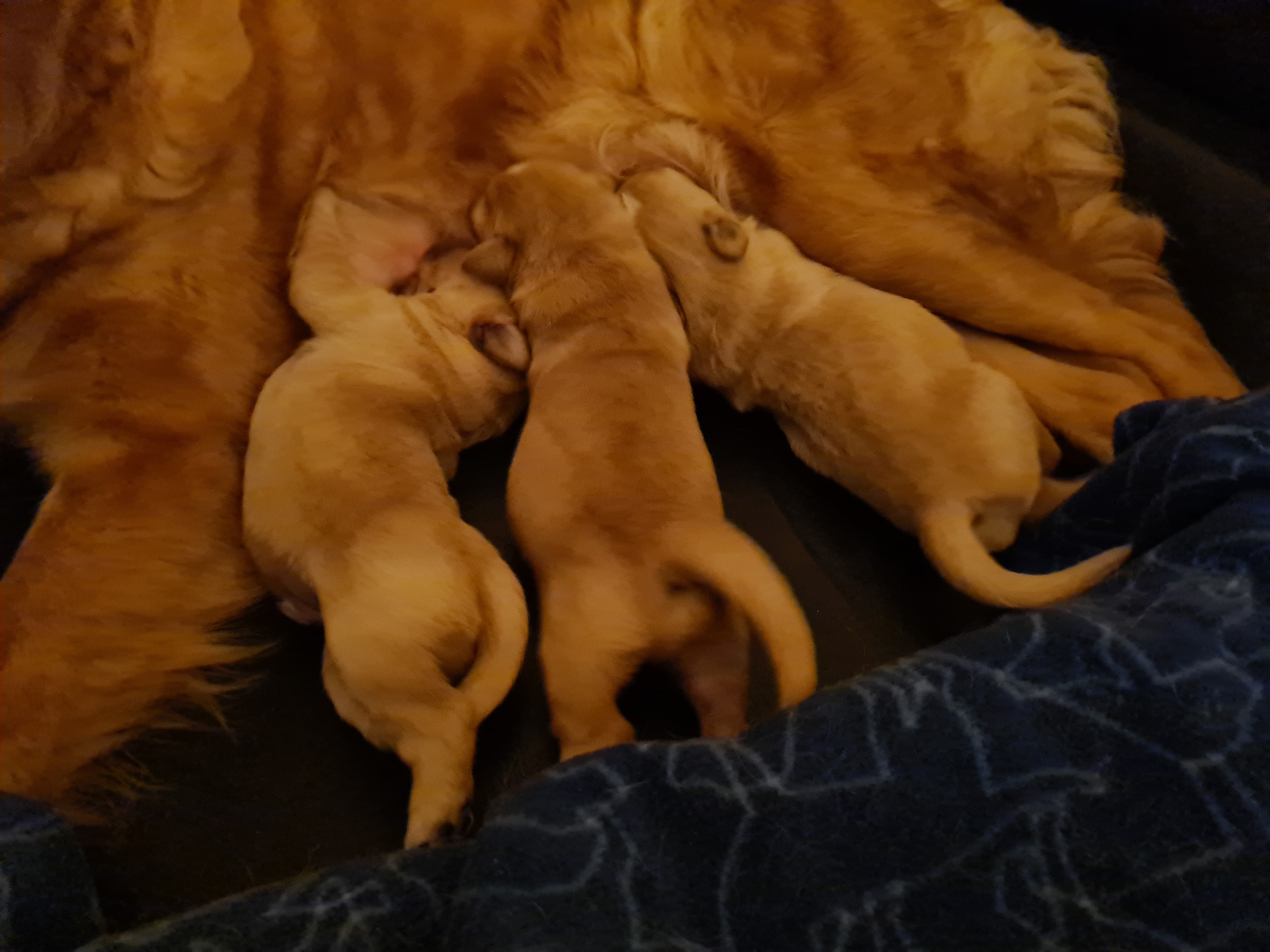 120960573_673893273246053_3487976807045202624_n