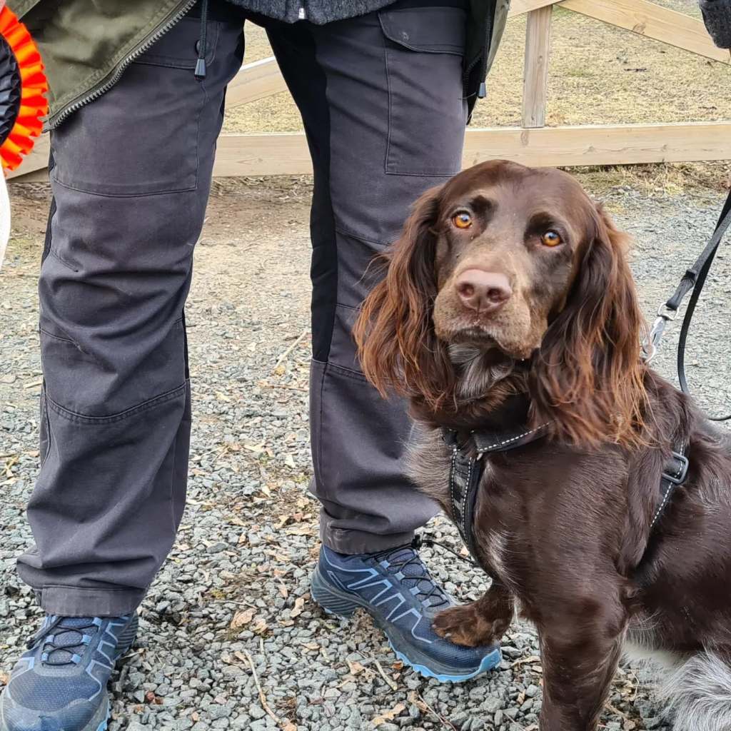 BPH dag i Aneby 2022-04-03